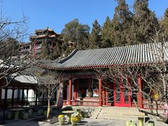 -宫事颐庭·老佛爷贵寿下午茶(颐和园店)