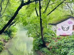 -西溪国家湿地公园