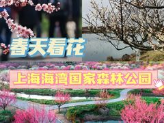 -上海海湾国家森林公园