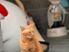 -思南公馆