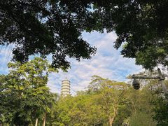 -深圳国际园林花卉博览园