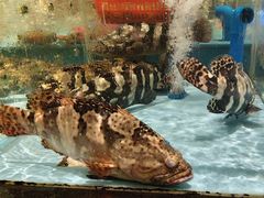 -阿伟海鲜楼·福建菜(延寿店)