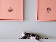 -紫燕百味鸡(交大路店)