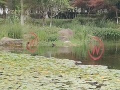 -苏州独墅湖世尊酒店
