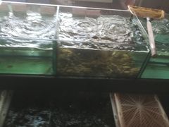 -仑头海鲜城(仑头环村南路店)