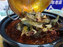 -金海椒罐罐鲢鱼(东方桂苑店)