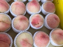 -老袁家蜜桃农场·阳山水蜜桃