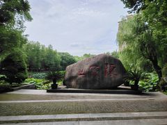 -陈家山荷花公园