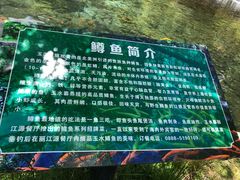 -丽江玉水寨