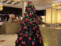 -上海锦江汤臣洲际大酒店壹阶层