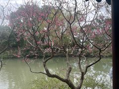 -上海醉白池公园