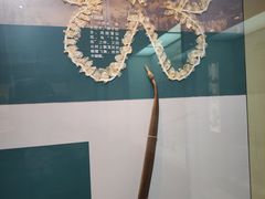-天津自然博物馆