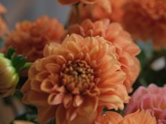 -花邻FloweringLife花艺气球派对(武康大楼店)