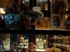-波特曼西餐厅(南岗店)