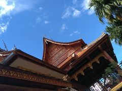 -西双版纳傣族园