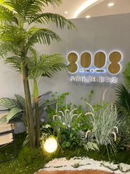 -八佰伴8008星级形象店