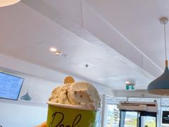 -Dooley's Premium Ice Cream