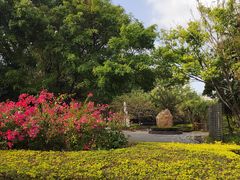 -深圳国际园林花卉博览园