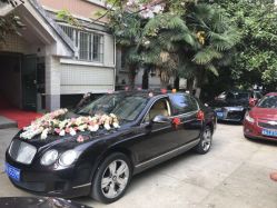 -蚂蚁婚车