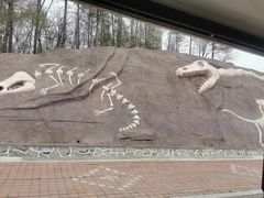 -哈尔滨北方森林动物园