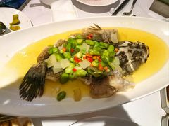 浓汤笋壳鱼-南麓·浙里(外滩店)