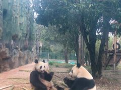 -贵州森林野生动物园