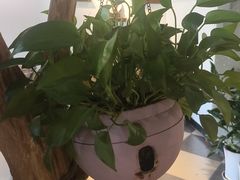 -茶油香闽南菜·花园餐厅(前埔店)