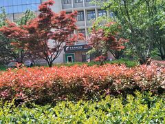 -青岛市图书馆