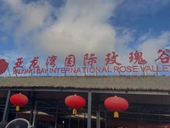 -亚龙湾国际玫瑰谷