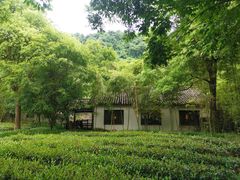 -法云安缦酒店
