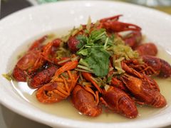 -新日月育才大酒店-中餐厅(环城北路店)