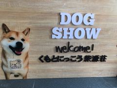 -柴源莊·柴小宠柴犬咖啡