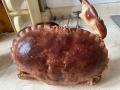 -盒马鲜生(宝地店)