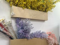 -花生FM_FLOWERS