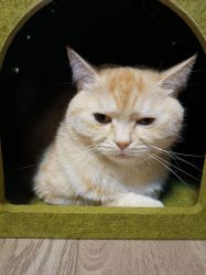 点击看大图 -齐伽生活馆·瑜伽·普拉提·阿育吠陀