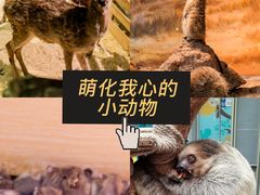 -正佳极地海洋世界