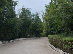 -塘沽森林公园