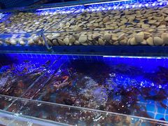 -四囍码头海鲜烧烤自助火锅(外滩南京东路悦荟广场店)