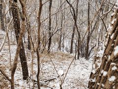 -北京西山国家森林公园