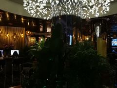 -润园四季椰子鸡火锅(海上世界店)