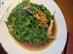 -三凤酒家·百年无锡菜(清扬茂业店)