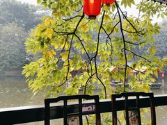 -侨美·唐荔园·40年地道粤菜