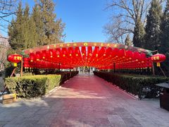 -大槐树寻根祭祖园