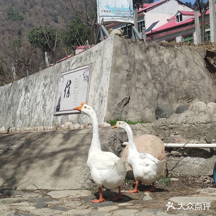 村里的旅游去处，小小村落，民风淳朴
