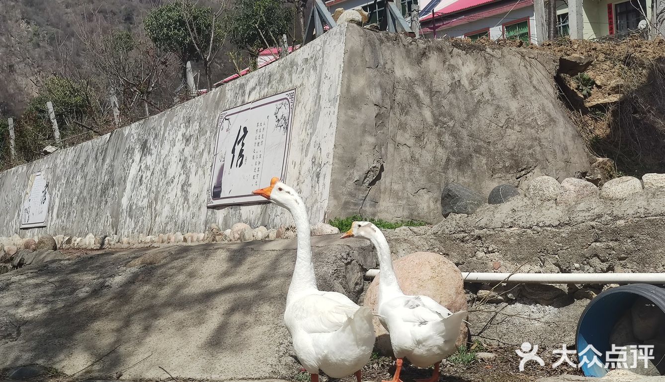 村里的旅游去处，小小村落，民风淳朴