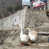 村里的旅游去处，小小村落，民风淳朴