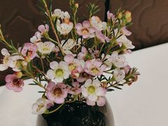 -西湖春天(中州店)