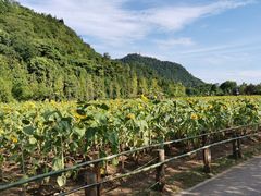 -贵阳市花溪国家城市湿地公园