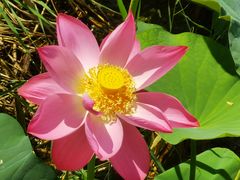 -野鸭湖国家湿地公园