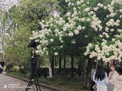 -中国湿地博物馆